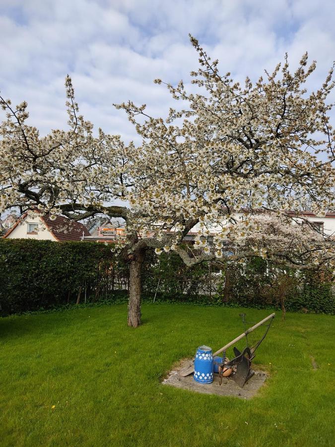 Ferienwohnung Ostseestrandlaeufer 2 Zingst Bagian luar foto